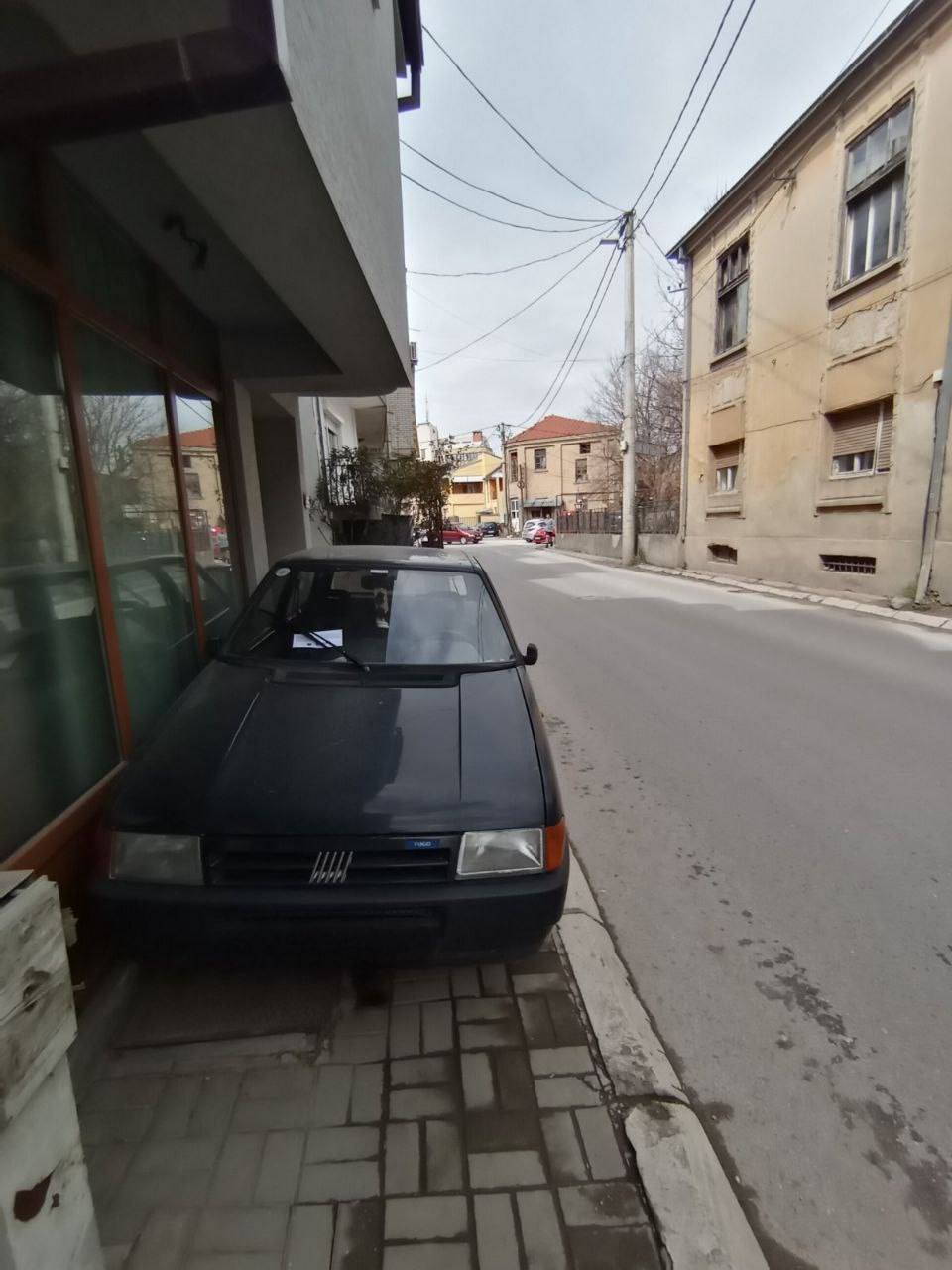 486213261 1186646123250742 2067878947849042760 n