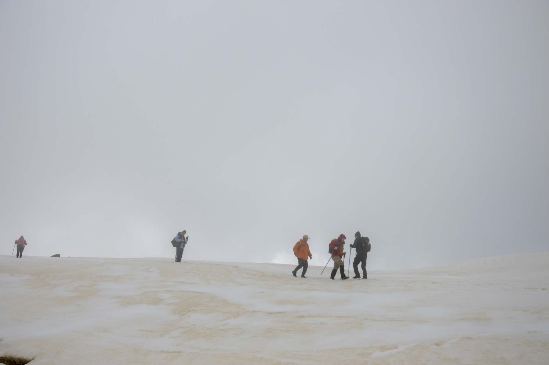 viber image 2022 05 09 16 03 28 562