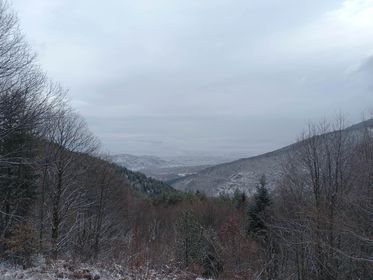 dihovo3