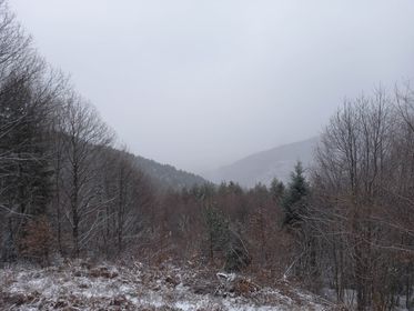 dihovo5