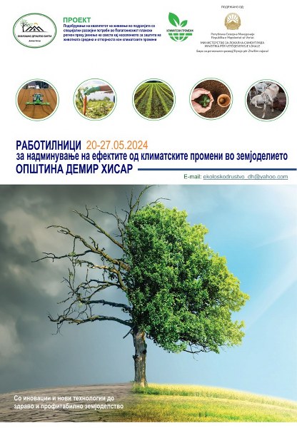 Плаката 416x600