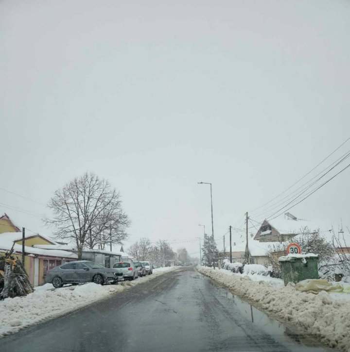 РЕК 3