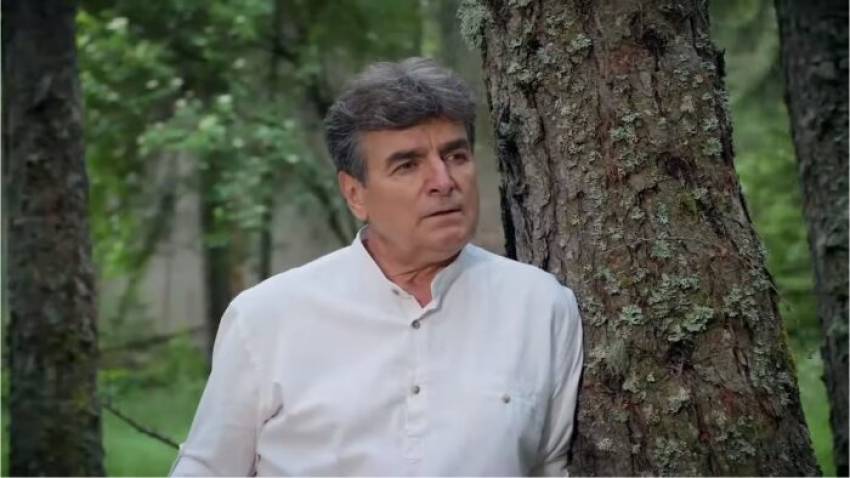 сефедин