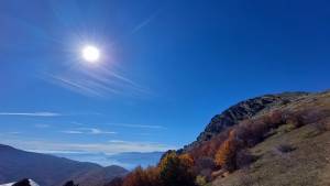 Фото: Иванчо Тошевски