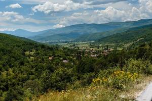 Фото Википедија