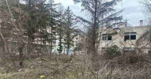 Социјалдемократите од Битола со објава на Фејсбук за отстранувањето на дрвја во старата Касарна каде ќе се гради улица