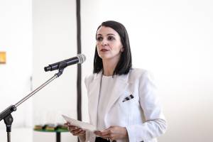 Костадиновска-Стојчевска: Објектите на Скопје 2014 се како кич циркони и симболи на делба