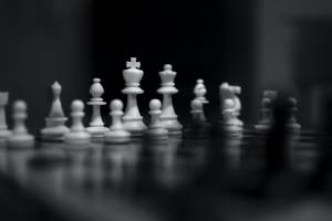 Во сабота во Офицерски промоција на новиот битолски шаховски клуб „ШТАЈНИЦ“