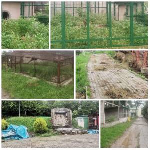 ПРЕДУПРЕДУВАЊЕ: Вознемирувачка фотографија од угинато животно во ЗОО Битола, СДСМ ја обвини директорката дека установата ја донесе до колапс