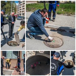 Се спроведува првата фаза од дератизацијата во Битола